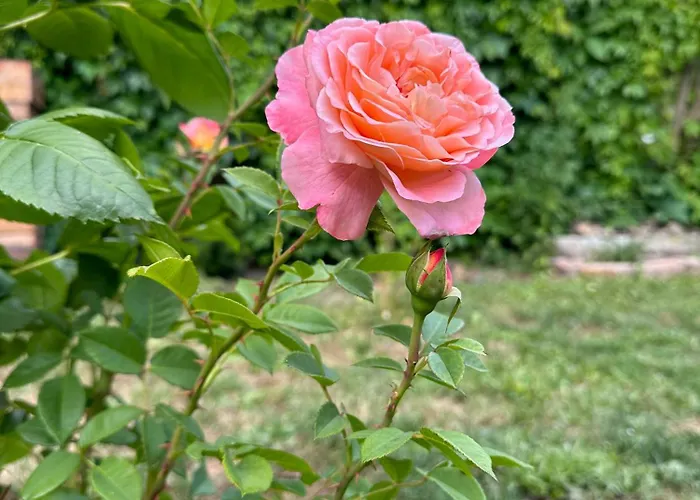 Kontor - Zentral Wohnen In Apartman Naumburg